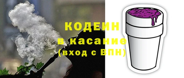прущие грибы Арсеньев