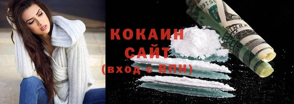 прущие грибы Арсеньев
