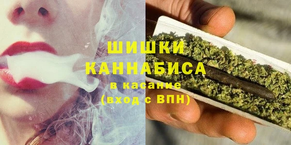 прущие грибы Арсеньев