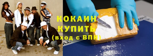 прущие грибы Арсеньев